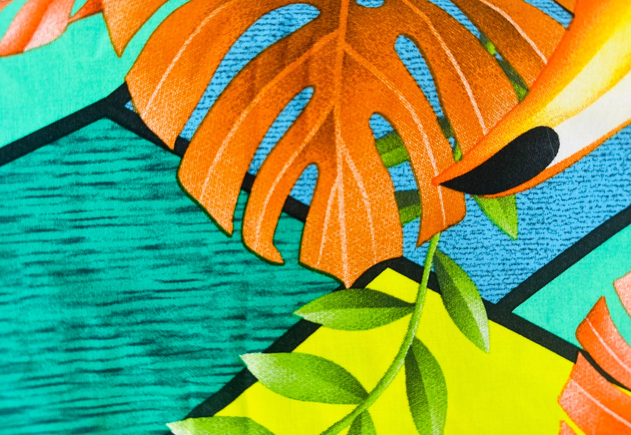 Tucano Amarelo, Sarong